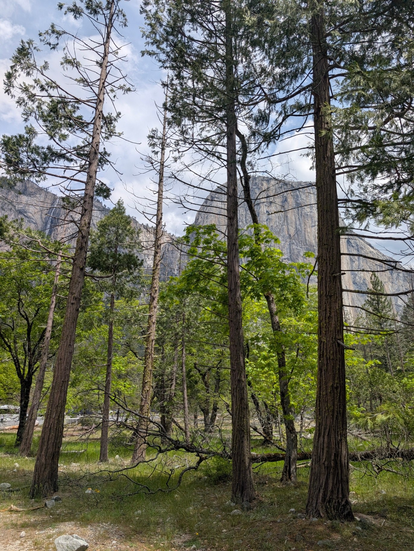 Landscape photograph.