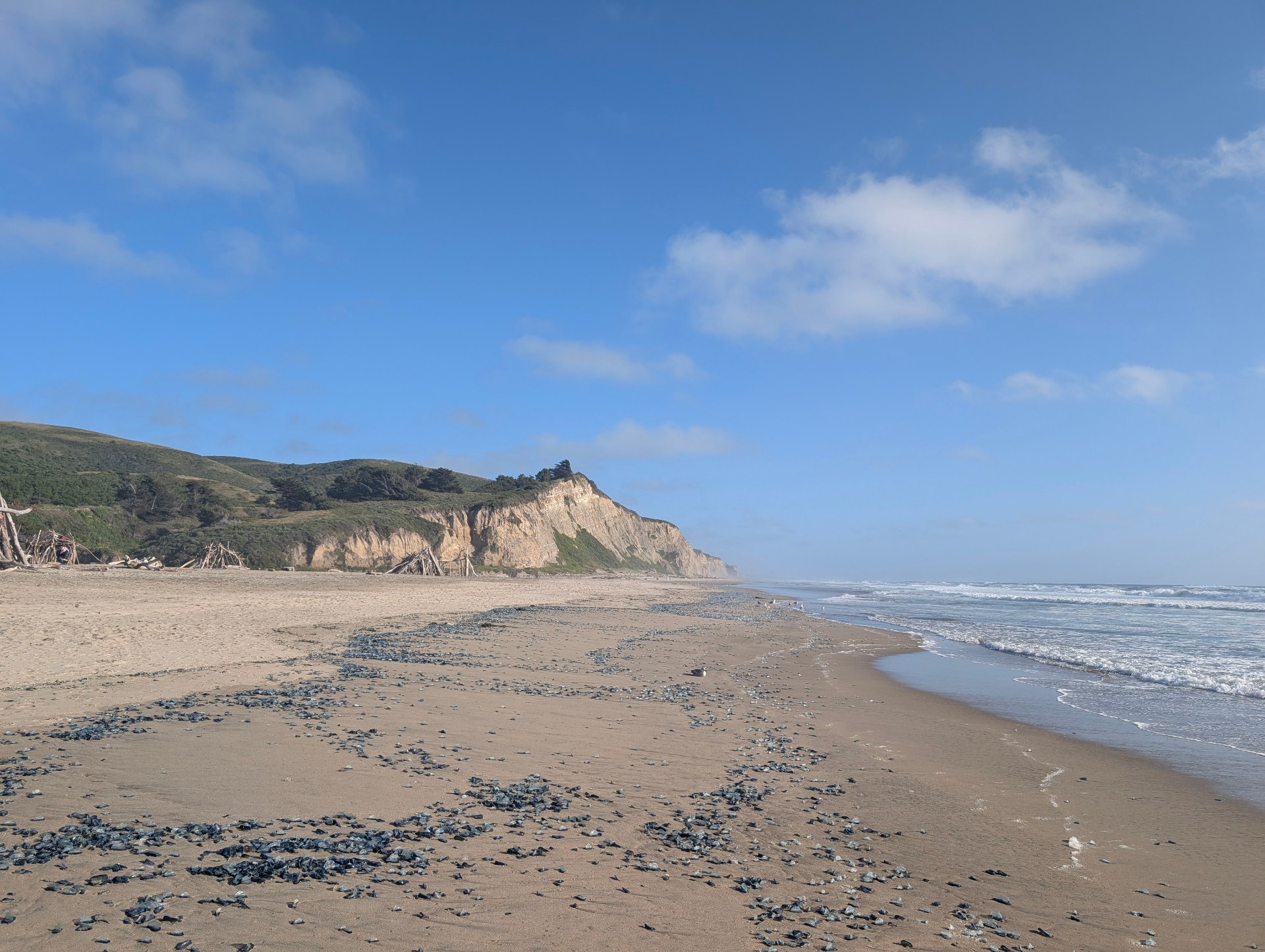 Coastal beach scene with cliffs.